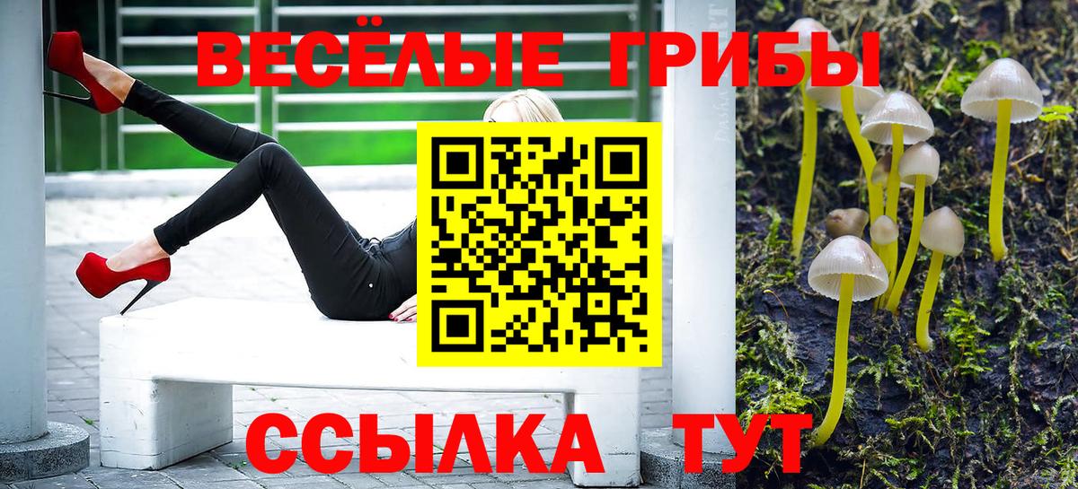 Псилоцибиновые грибы Psilocybine cubensis  Вход с VPN  Джанкой 