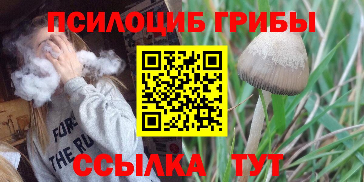 Псилоцибиновые грибы Psilocybine cubensis Джанкой